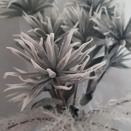 Appartamento Charissa Volos